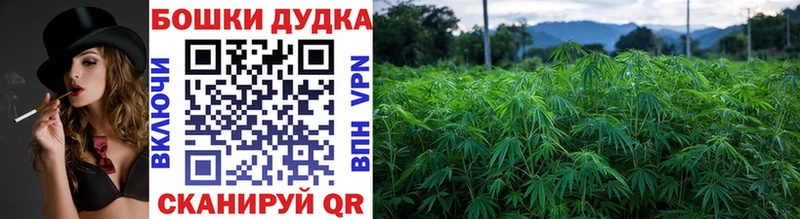 Купить где  Малоархангельск  Бошки марихуана план 